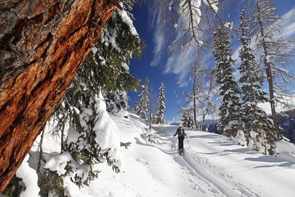 Appartement Charly Kahr And Family, Ski-In & Ski-Out Шладмінг Екстер'єр фото
